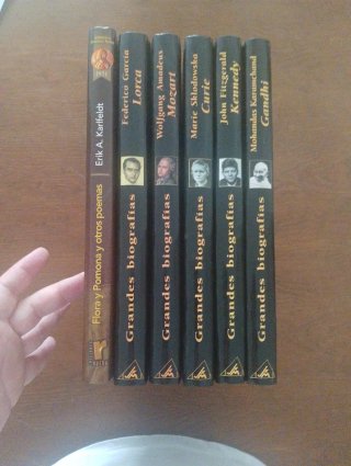 Lote libros