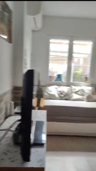 Guardería canina