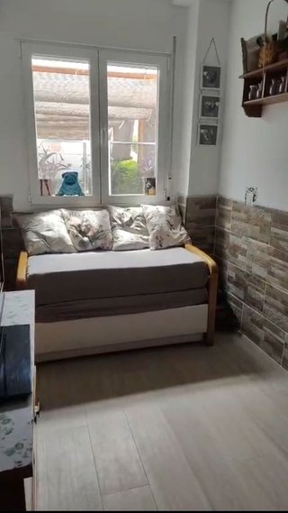 Guardería canina