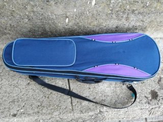 Violín 1/2 en buen estado
