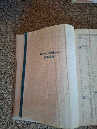Il dizionario di cinese. Dizionario cinese-ital...