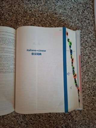 Il dizionario di cinese. Dizionario cinese-ital...