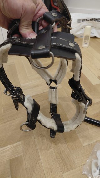 Sistema para pasear perro con bici