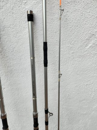 Cañas de Surfcasting Daiwa