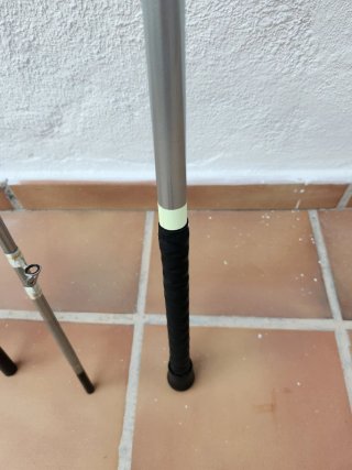 Cañas de Surfcasting Daiwa