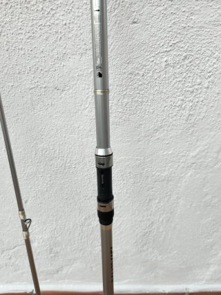 Cañas de Surfcasting Daiwa