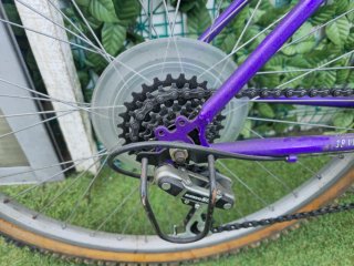 Bicicleta Olímpic Gavilán Morada