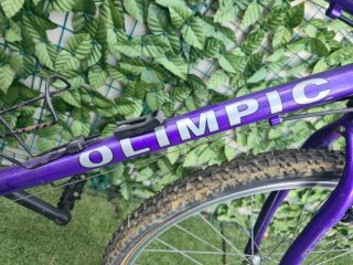 Bicicleta Olímpic Gavilán Morada