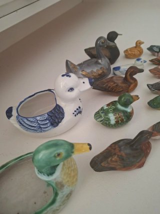 Colección de patos decorativos