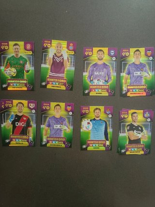Cromos Adrenalyn XL 25/26 Guantes de Oro