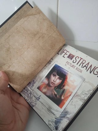 Diario Life Is Strange