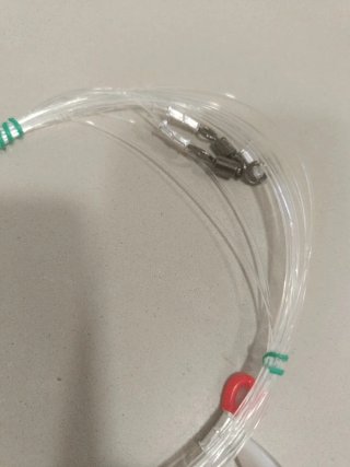 Pulpitos de pesca Asesino