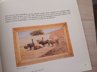 Libro Hellín en los Toros - Antonio Moreno Garcia