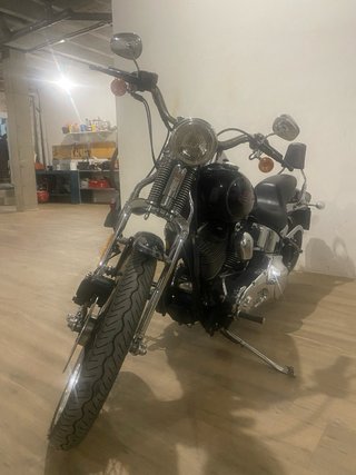 Harley-Davidson springer softail