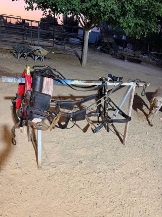 Guarnición de tronco para caballo
