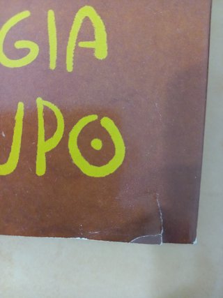 Libro per bambini La magia del Lupo Michelle Paver