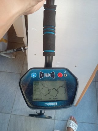 Detector de Metales