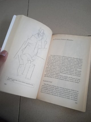 Libro Picasso