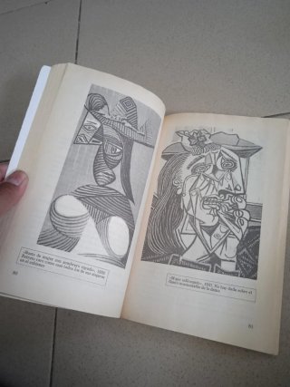 Libro Picasso