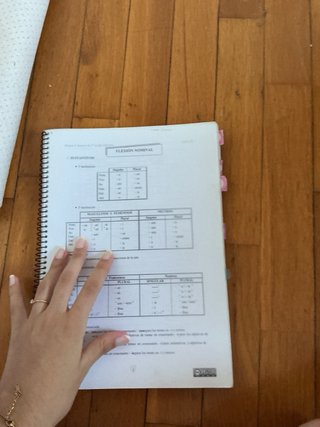 Apuntes y libro para preparacion LATIN II PAU CV