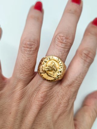 Anillo Sello Oro 18kt Caballo y Herradura
