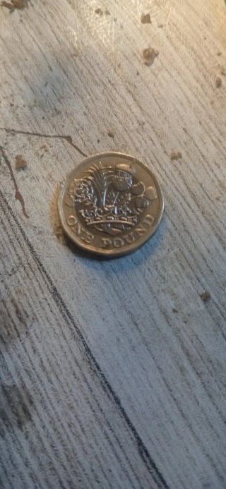 Moneda 1 Libra Isabel II 2016