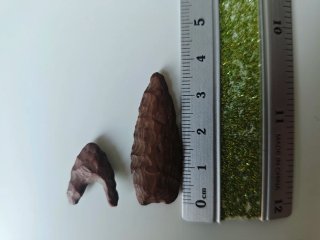 Puntas de flecha neolíticas (8 unidades)