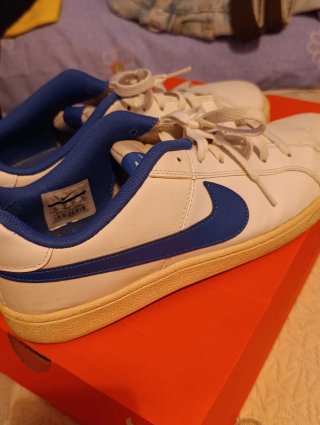 Zapatillas Nike Blancas y Azules