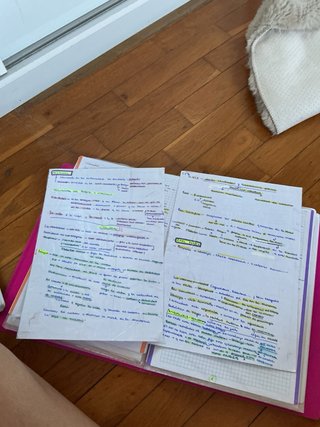 Apuntes filosofía preparacion PAU CV