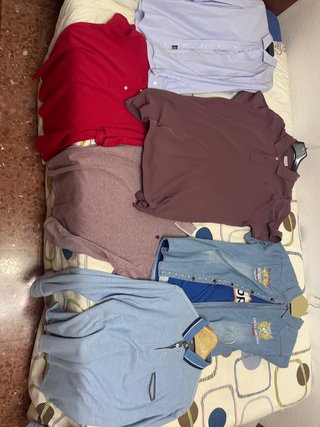Lote de Polos Hombre