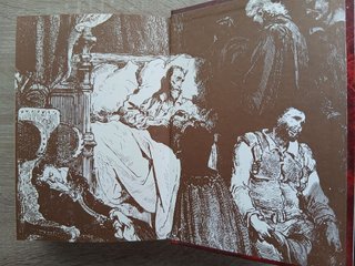 Libro Don Quijote de la Mancha ilustrado tapa dura