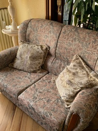 Sofá y sillón antiguo floral conjunto