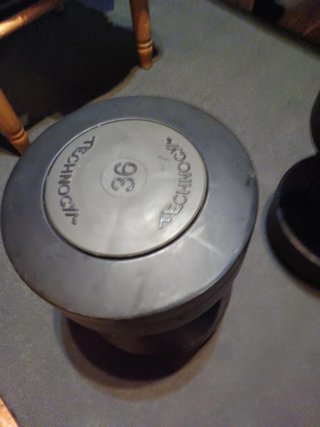 Mancuernas Technogym 36kg 90€