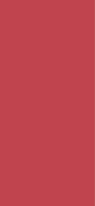 Shiseido Automatic Lip Crayon LC7
