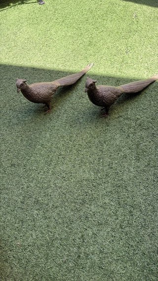 Pareja Faisanes Bronce 17 x 42 cm