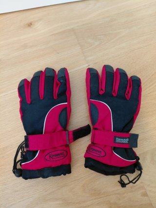 Botas de esquí Tecnica + guantes + bolsa