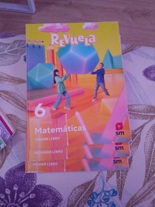 Vendo libros de 6° de primaria de la editorial SM