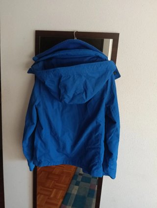 Chaqueta chico Hollister