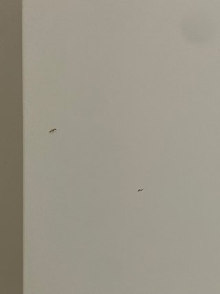 Cabecero Brimnes Ikea Blanco