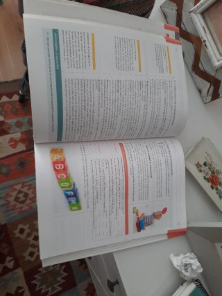 Didáctica de la Educación Infantil