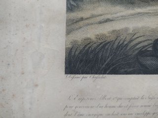 Grabado Angelo Biasioli Siglo XIX