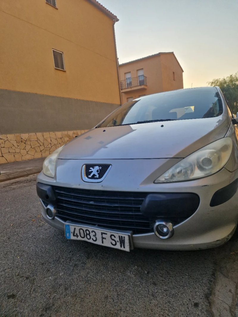 Peugeot 307 2007 - foto 1