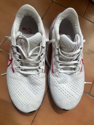 Zapatillas Nike Air Zoom Pegasus Mujer