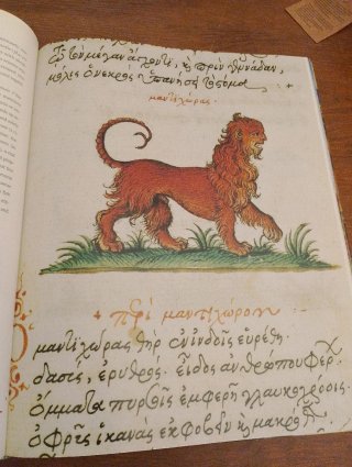 Here be Dragons A Fantastic Bestiary