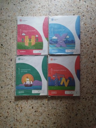 Lote de libros 5 de Primaria