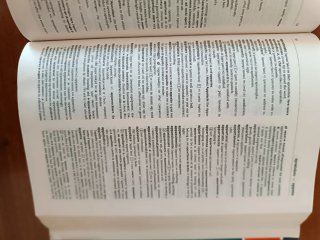 Collins Dizionario Inglese Mondadori 1999