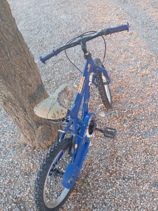 Bicicleta infantil azul 16