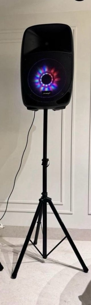 Alquiler Altavoz Profesional
