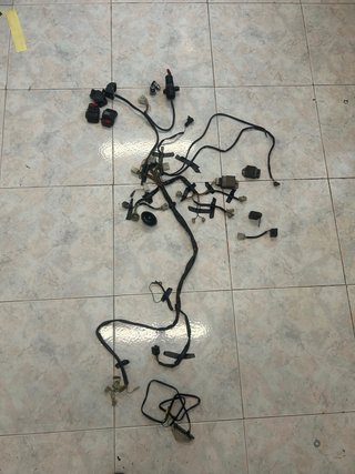 Cableado completo Derbi