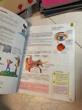 Libros de texto 4 de primaria SM van todos